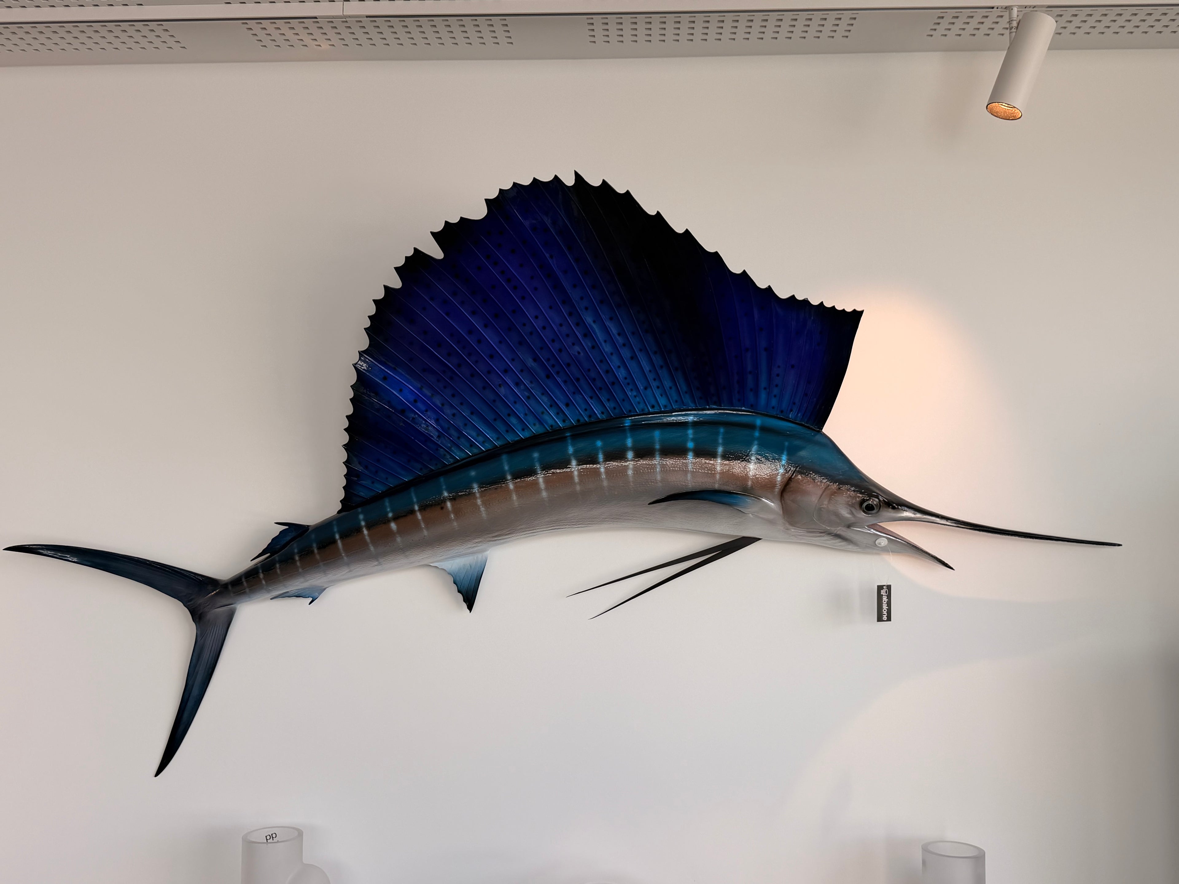 Grande Sculpture Murale "Poisson-Voilier" (Sailfish) — Esprit Cabinet de Curiosités & Cabinet Marine