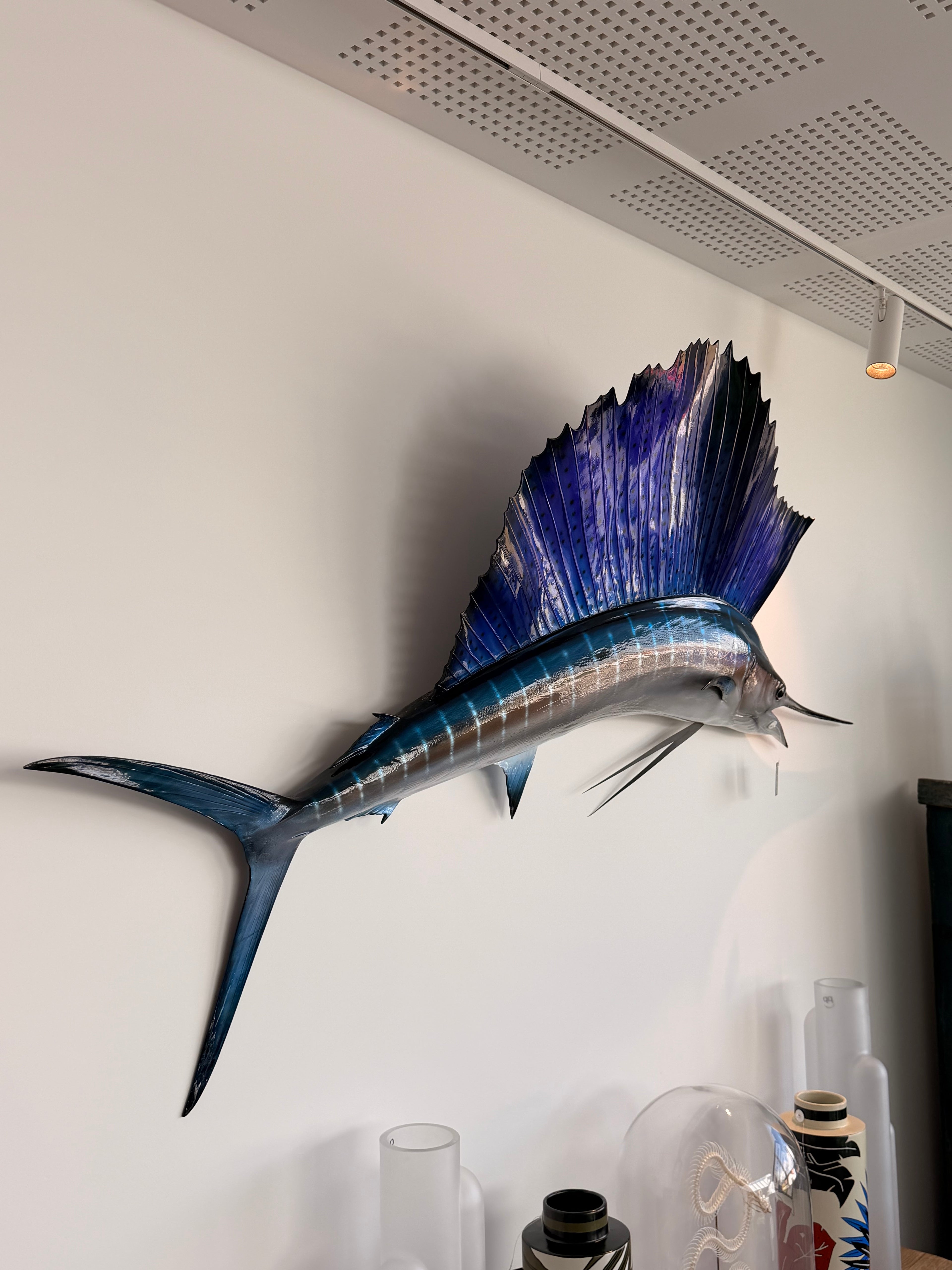 Grande Sculpture Murale "Poisson-Voilier" (Sailfish) — Esprit Cabinet de Curiosités & Cabinet Marine