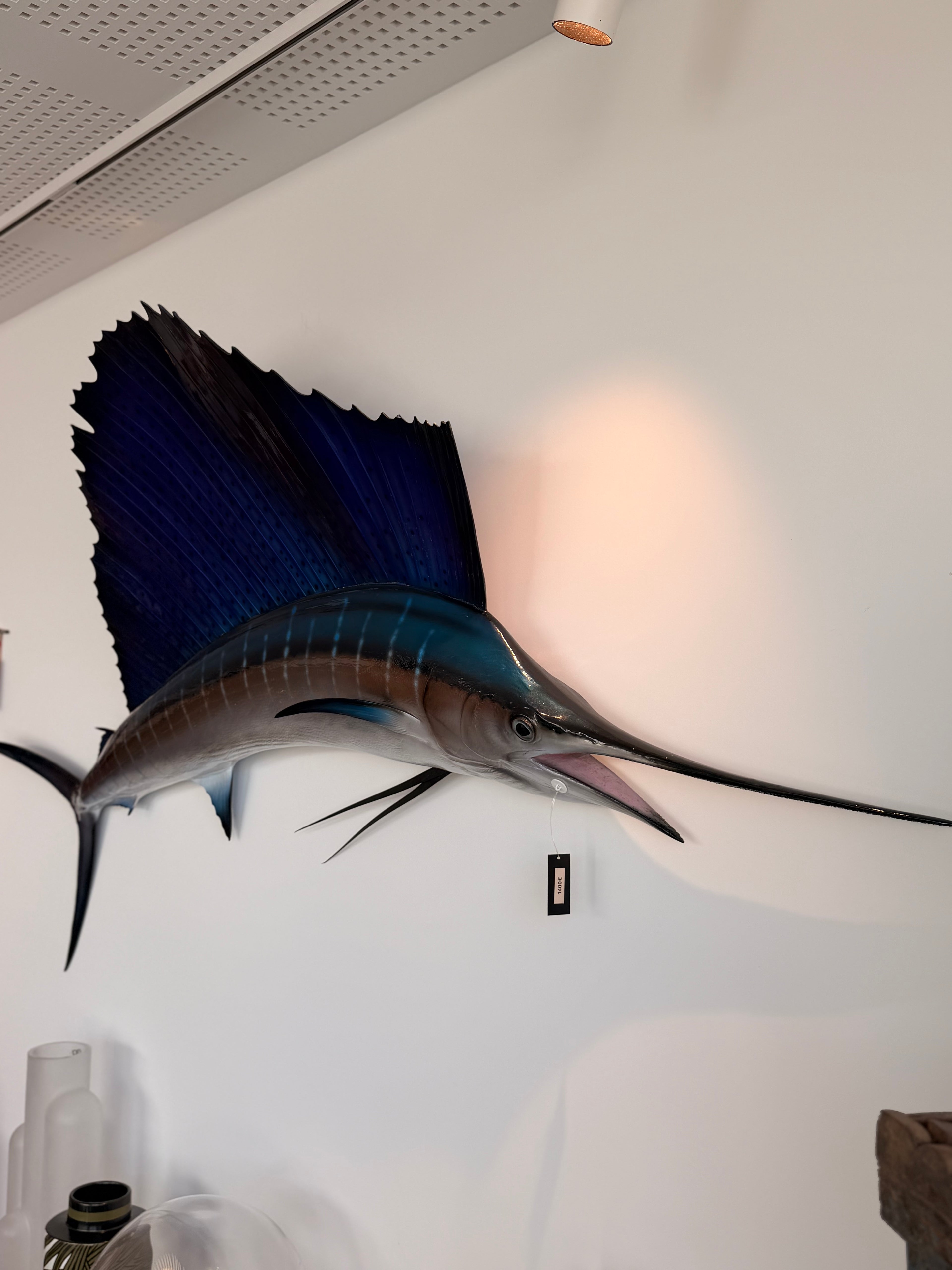 Grande Sculpture Murale "Poisson-Voilier" (Sailfish) — Esprit Cabinet de Curiosités & Cabinet Marine