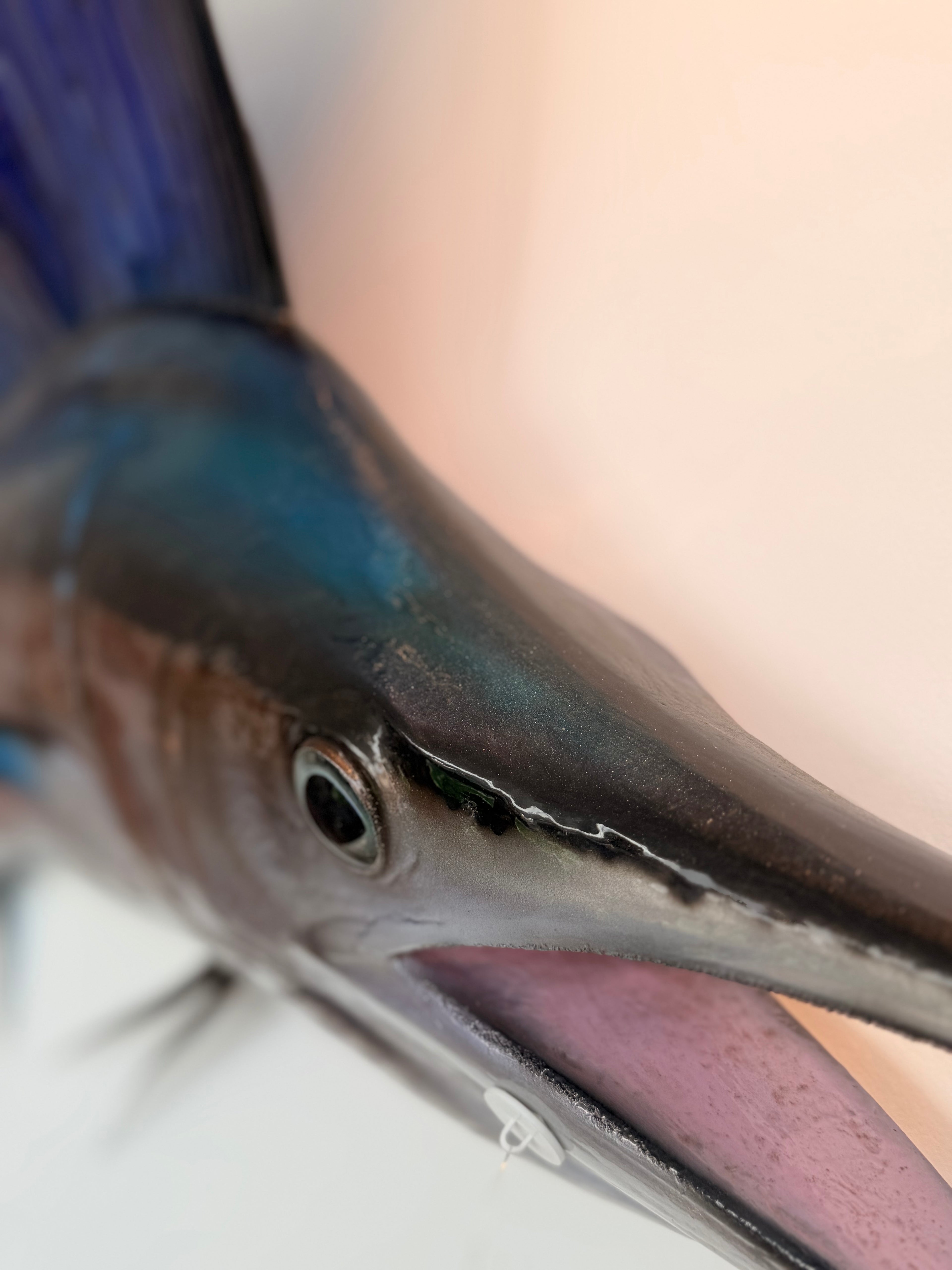 Grande Sculpture Murale "Poisson-Voilier" (Sailfish) — Esprit Cabinet de Curiosités & Cabinet Marine