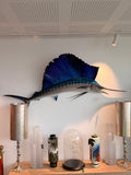Grande Sculpture Murale "Poisson-Voilier" (Sailfish) — Esprit Cabinet de Curiosités & Cabinet Marine