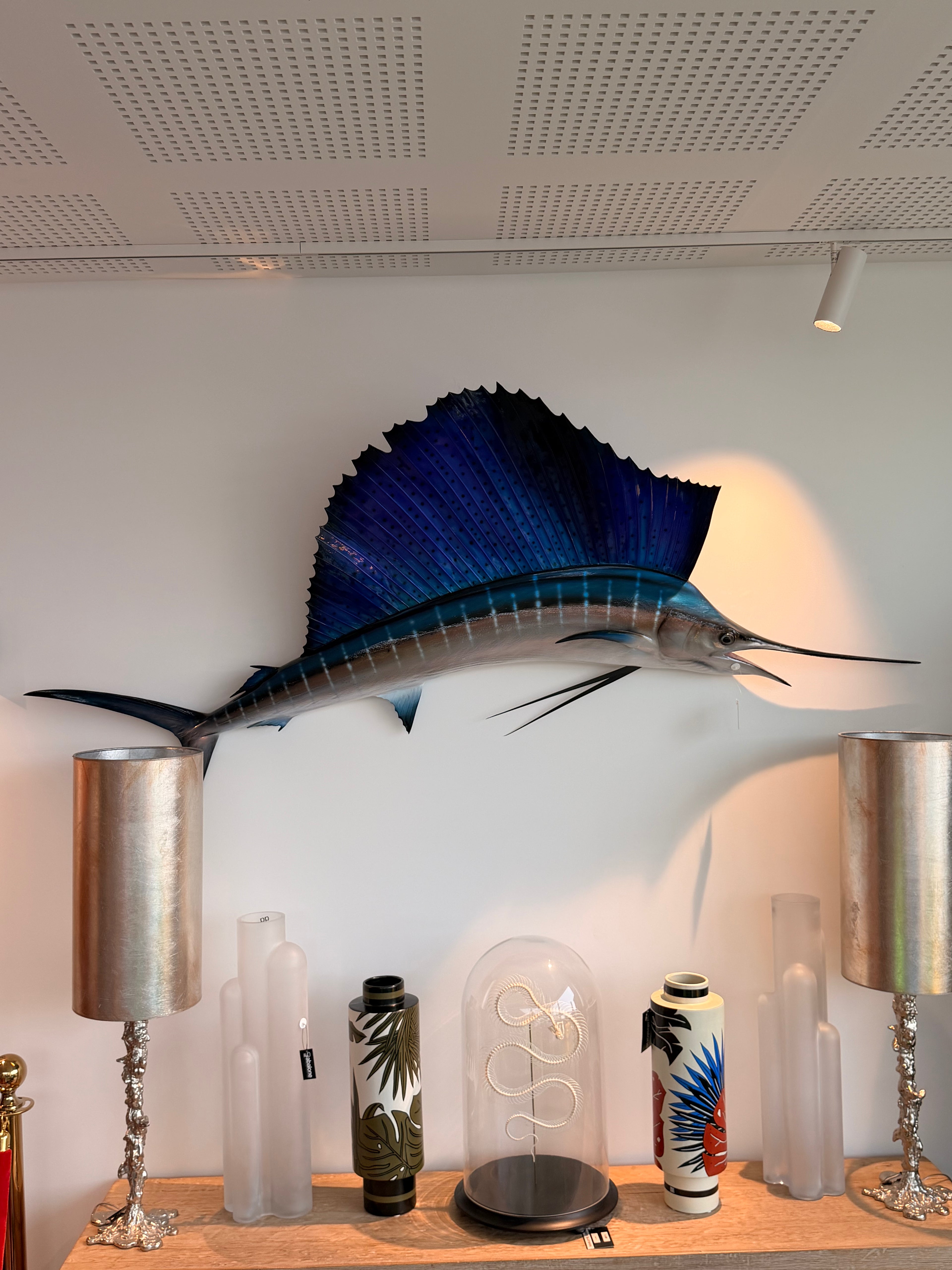 Grande Sculpture Murale "Poisson-Voilier" (Sailfish) — Esprit Cabinet de Curiosités & Cabinet Marine
