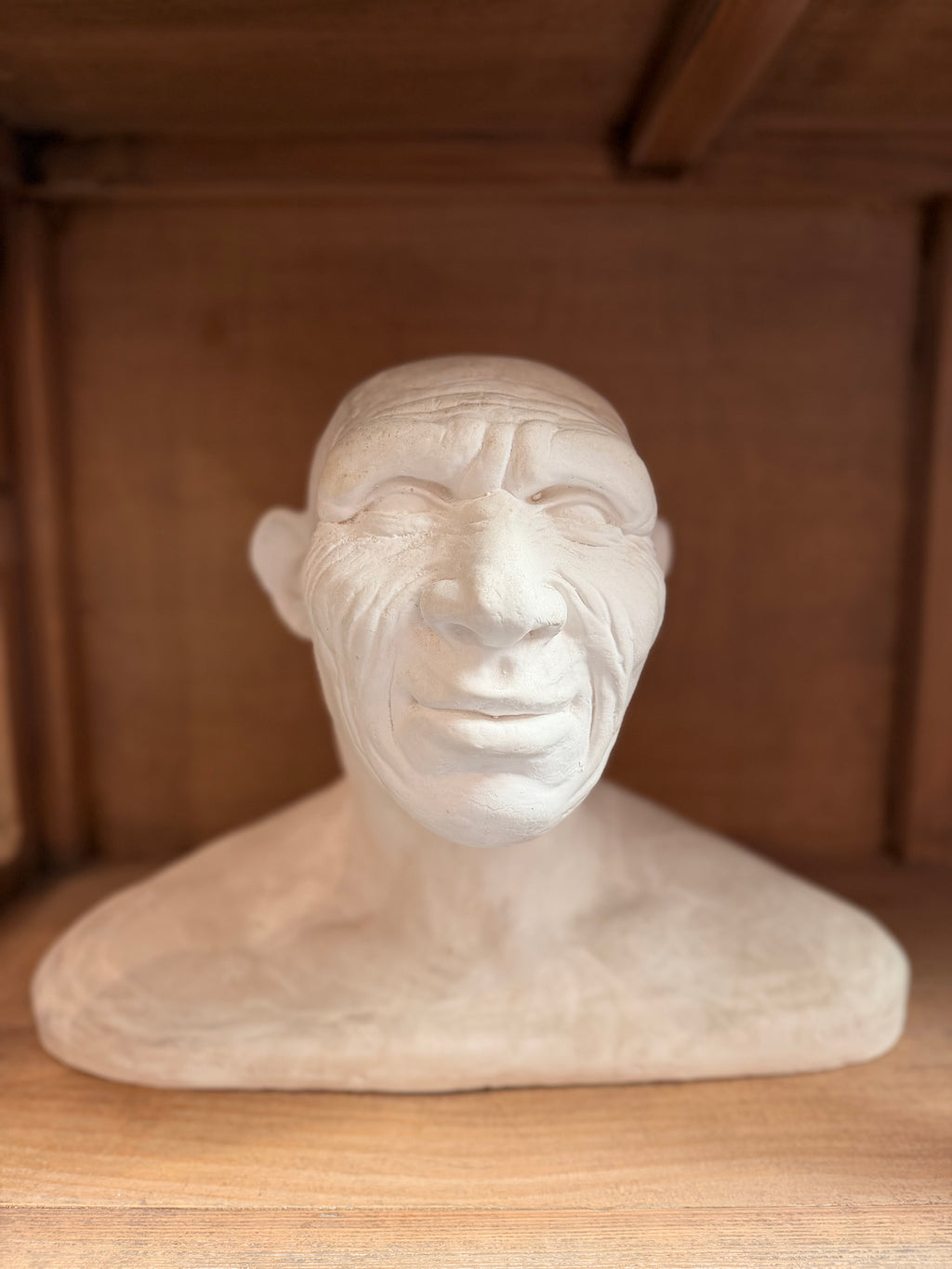 Major Anthropological Work – Set of 8 Sculpted Busts: The Morphological Evolution of Humankind – Exceptional Cabinet of Curiosities Piece