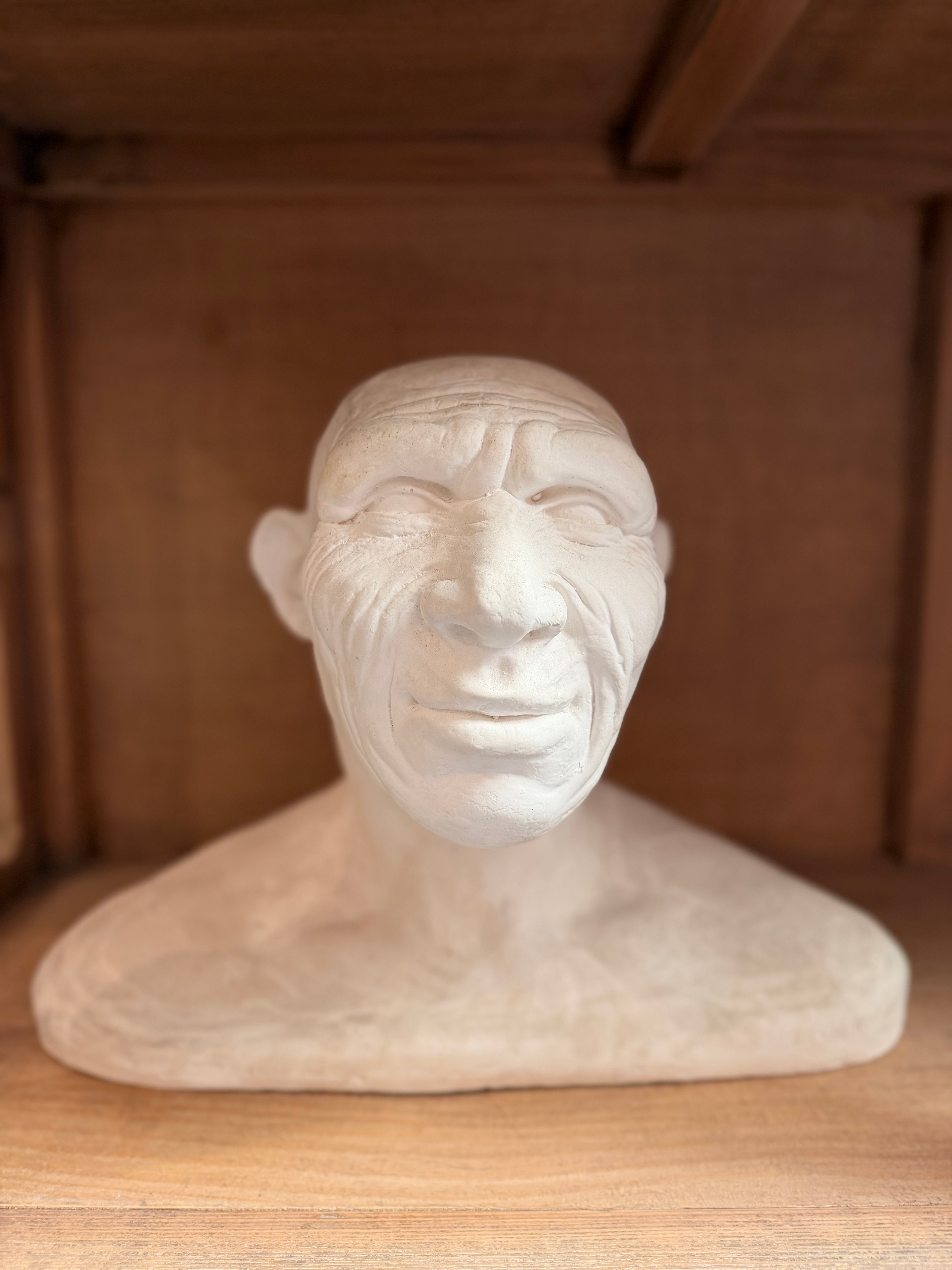 Major Anthropological Work – Set of 8 Sculpted Busts: The Morphological Evolution of Humankind – Exceptional Cabinet of Curiosities Piece