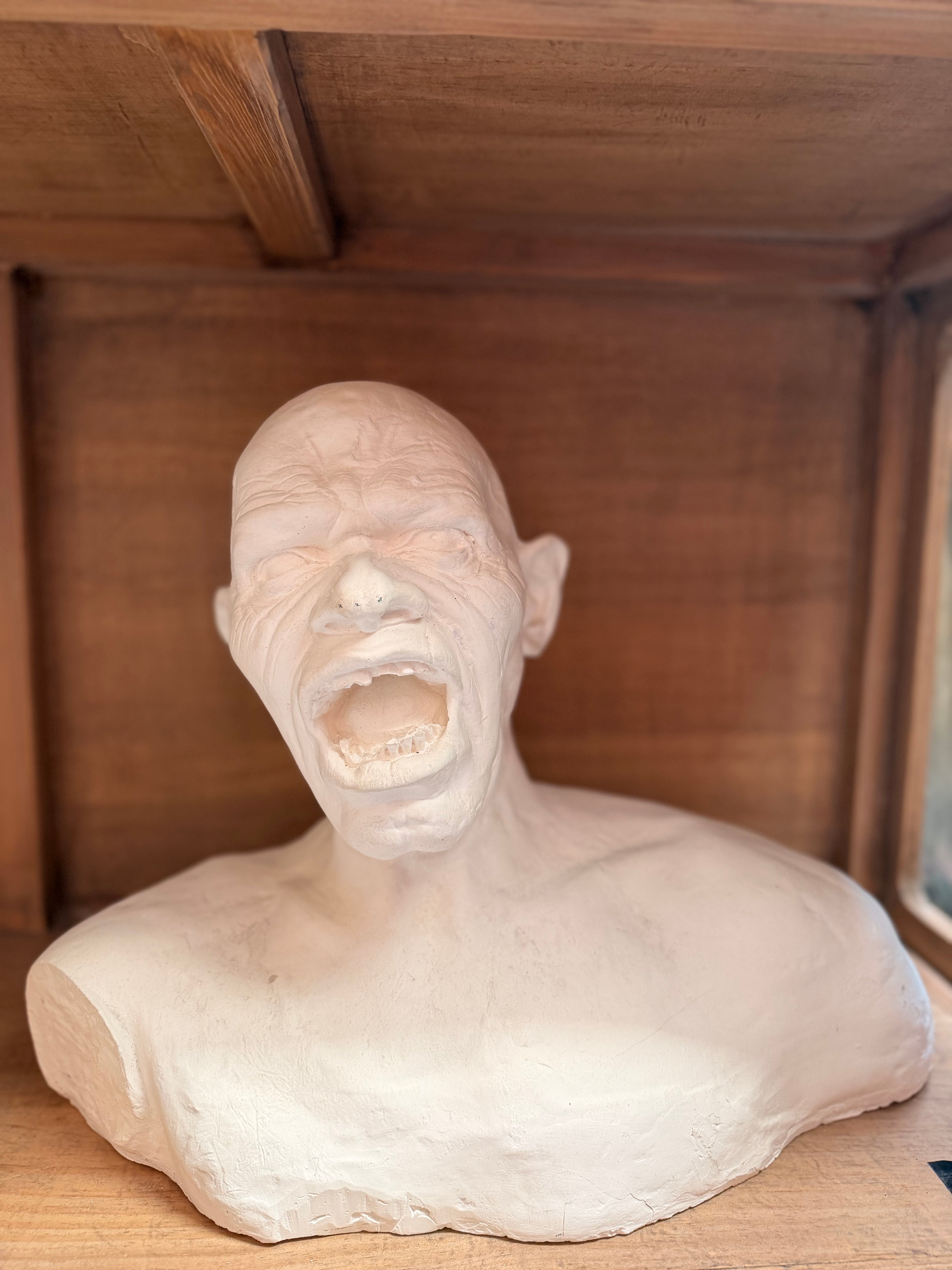 Major Anthropological Work – Set of 8 Sculpted Busts: The Morphological Evolution of Humankind – Exceptional Cabinet of Curiosities Piece