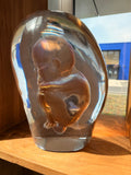 "Embryo" Murano Glass Sculpture – Masterpiece signed by Pino Signoretto (1944-2017)