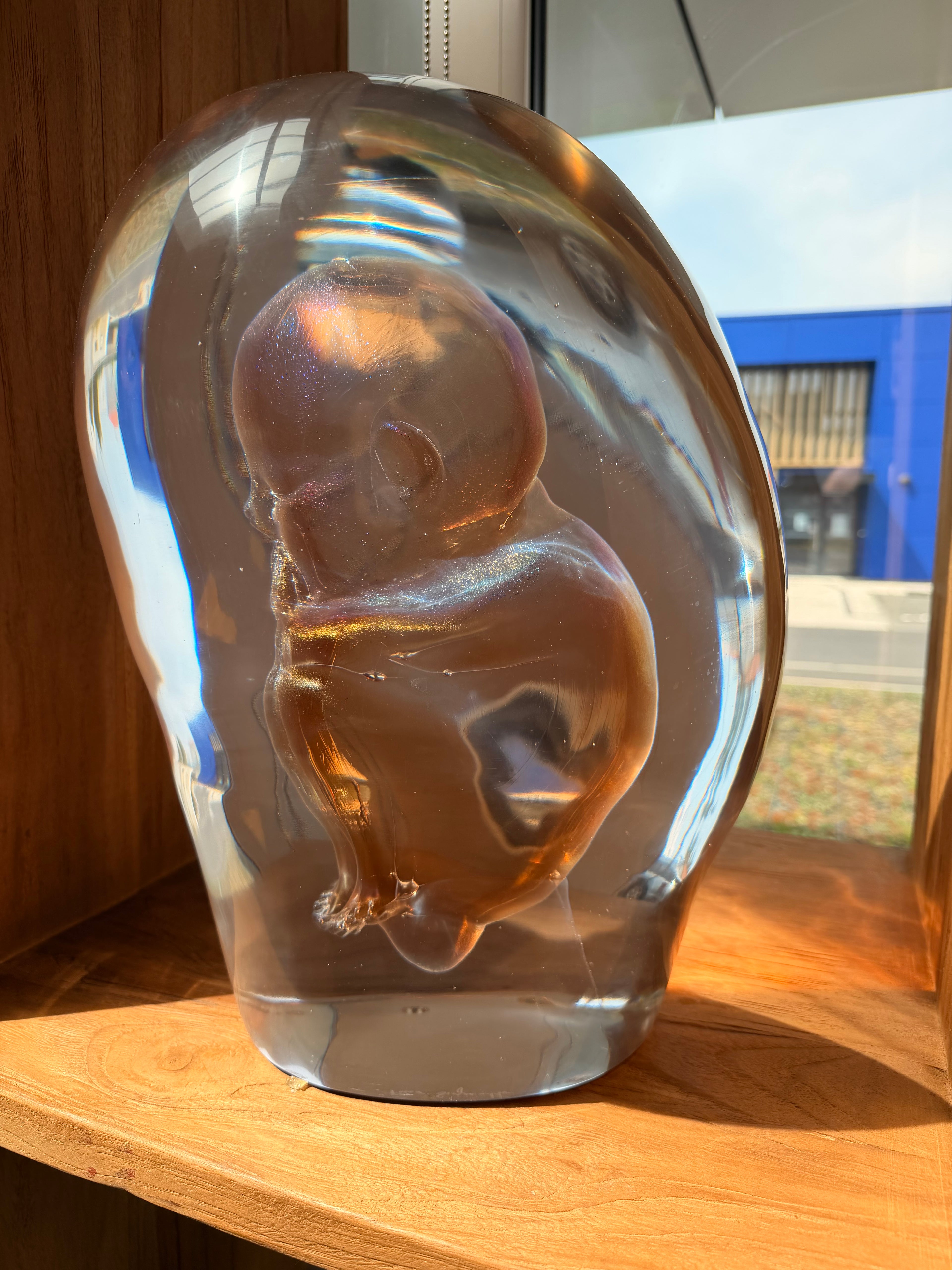 "Embryo" Murano Glass Sculpture – Masterpiece signed by Pino Signoretto (1944-2017)