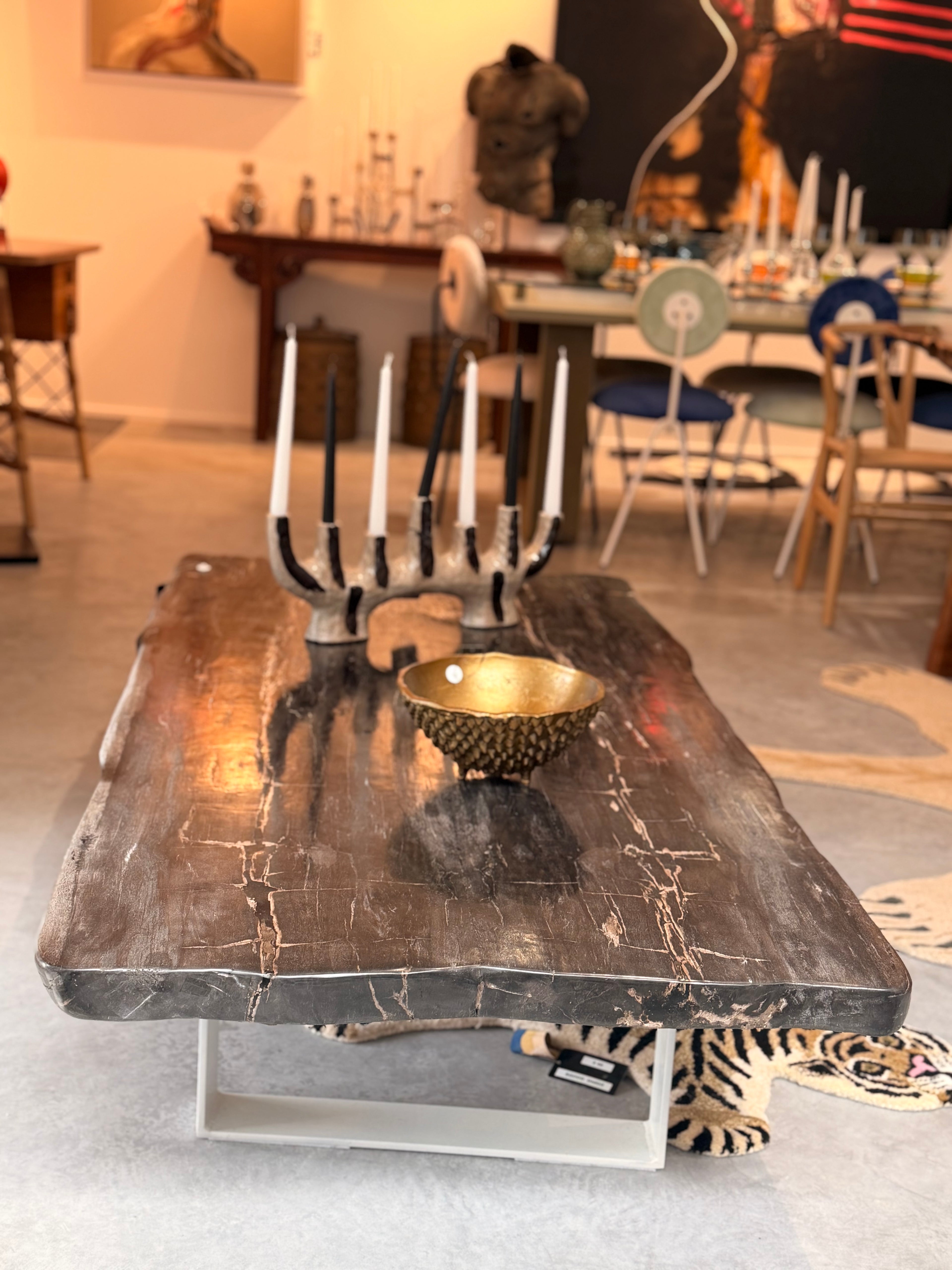Exceptional Petrified Wood (Fossil) Coffee Table – Unique Piece