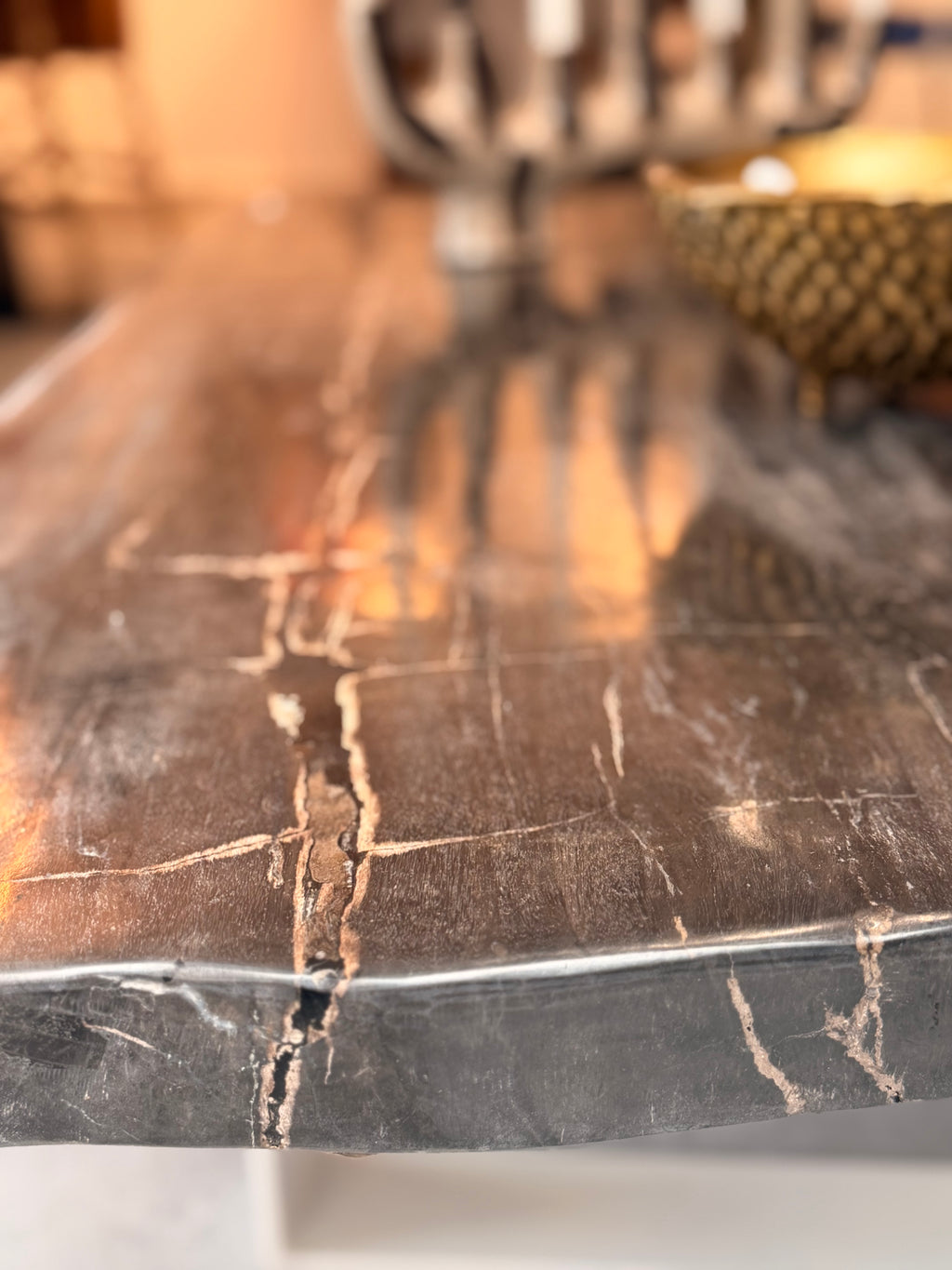 Exceptional Petrified Wood (Fossil) Coffee Table – Unique Piece