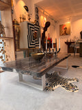 Exceptional Petrified Wood (Fossil) Coffee Table – Unique Piece