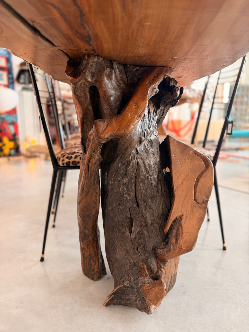 Table de Repas Sculpturale "Live Edge" en Bois de Molave – Philippines