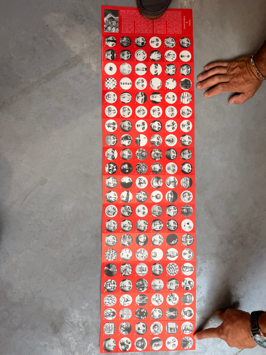 Fornasetti Milano Collector's Plate – Iconic "Tema e Variazioni" Series (Sold Individually)